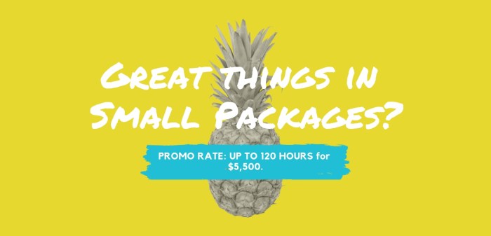 from our teachers (6)